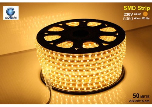 IWACHI-5050-50M-Warm White